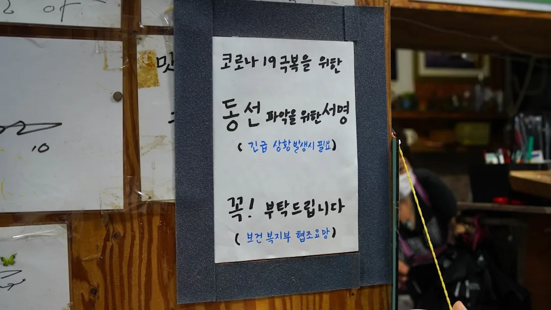 랜섬웨어 공격, 파일 손실 막는 법: 완벽 가이드
