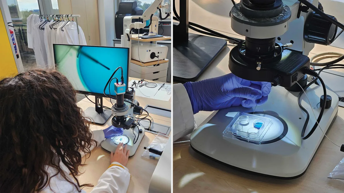 시험관 아기 시술(IVF) 완벽 가이드: 과정부터 최신 기술까지