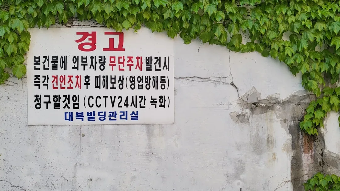VPN 완벽 가이드: 온라인 규제 시대, 개인정보 보호와 안전한 우회