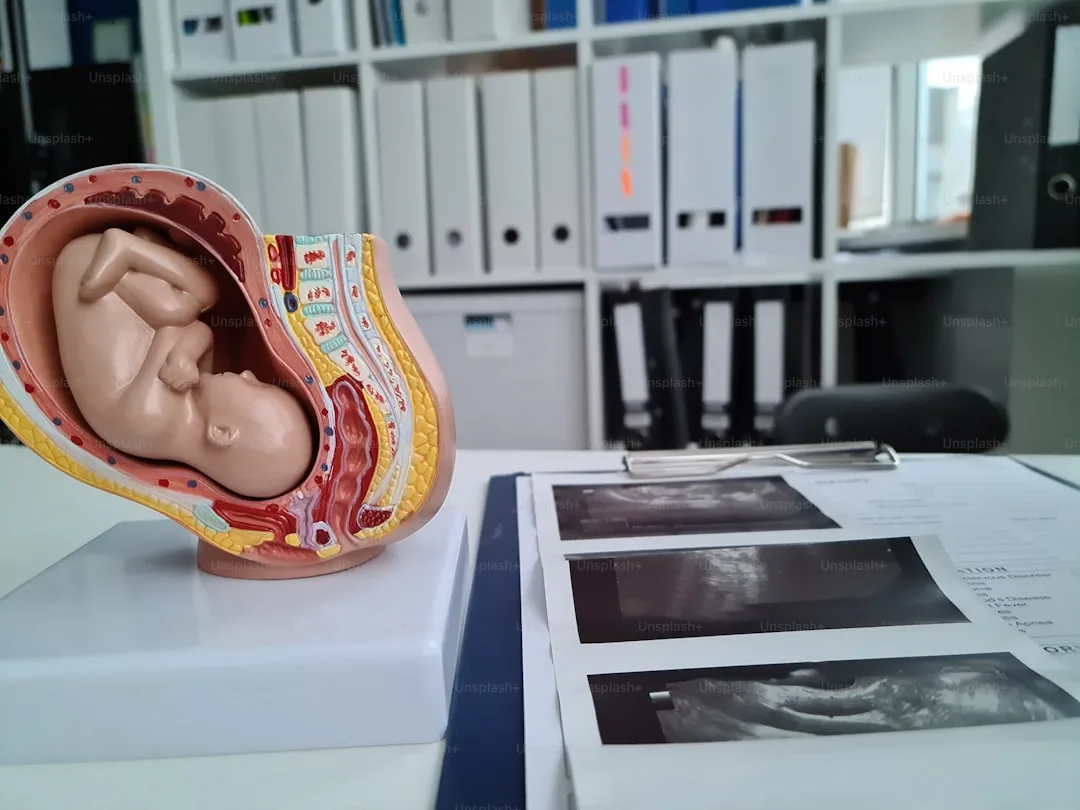 시험관 아기 시술(IVF) 완벽 이해: 과정부터 성공 전략까지