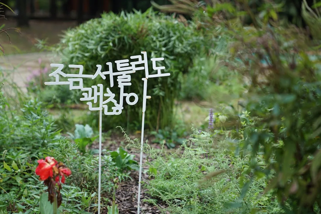 45도 폭염에 전력망이 버티지 못하는 진짜 이유와 개인 대비법