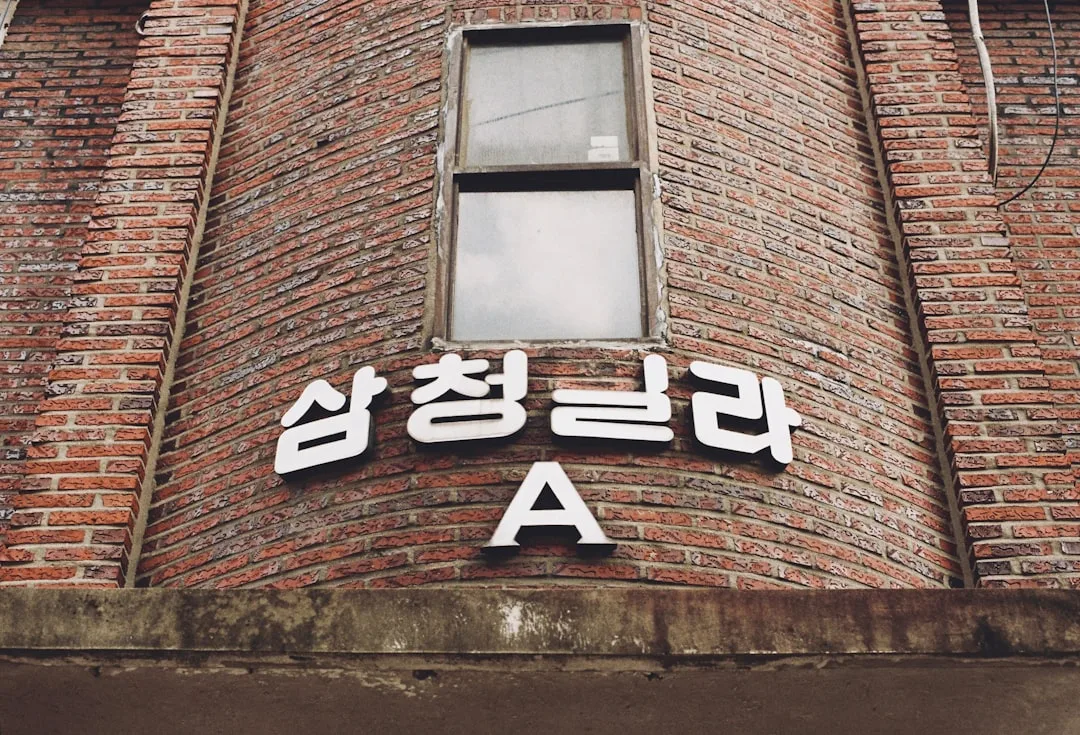 엔비디아 독주 막을까, AI 반도체 스타트업 톱5 뜯어봤다